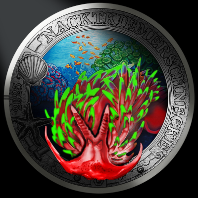 Austria 3 Euro 2024 "...